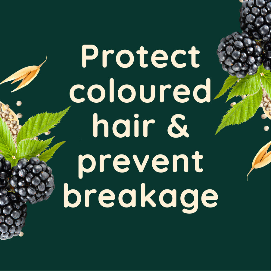 aveeno colour protect blackberry quinoa blend shampoo aveeno